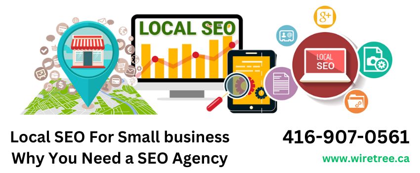 Local SEO For Small business Why You Need a SEO Agency