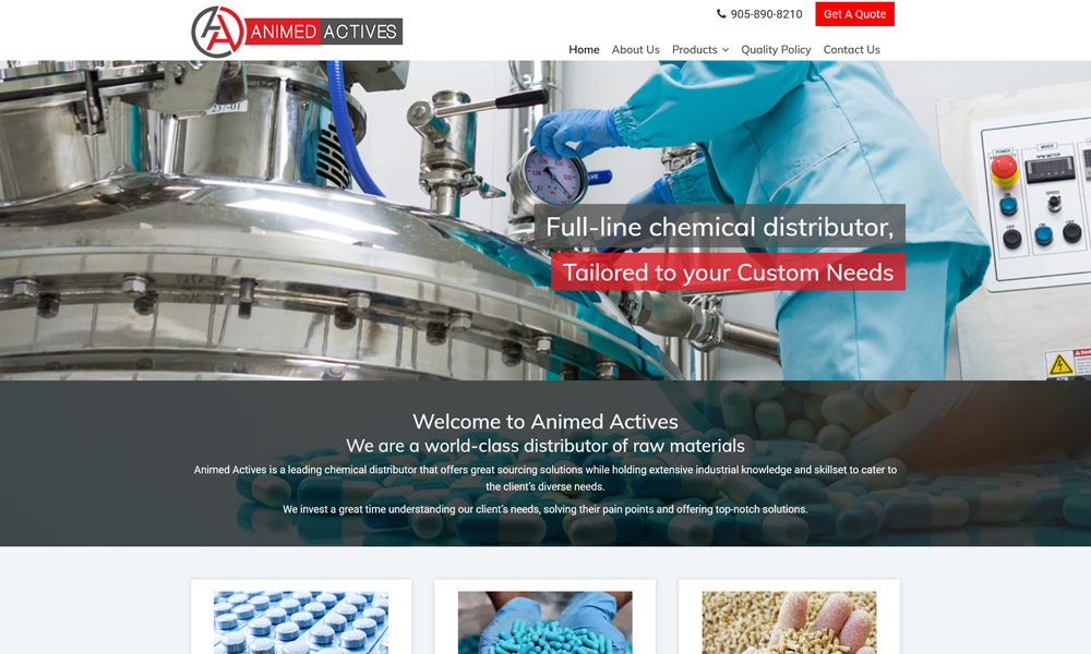 Website Development Company Toronto