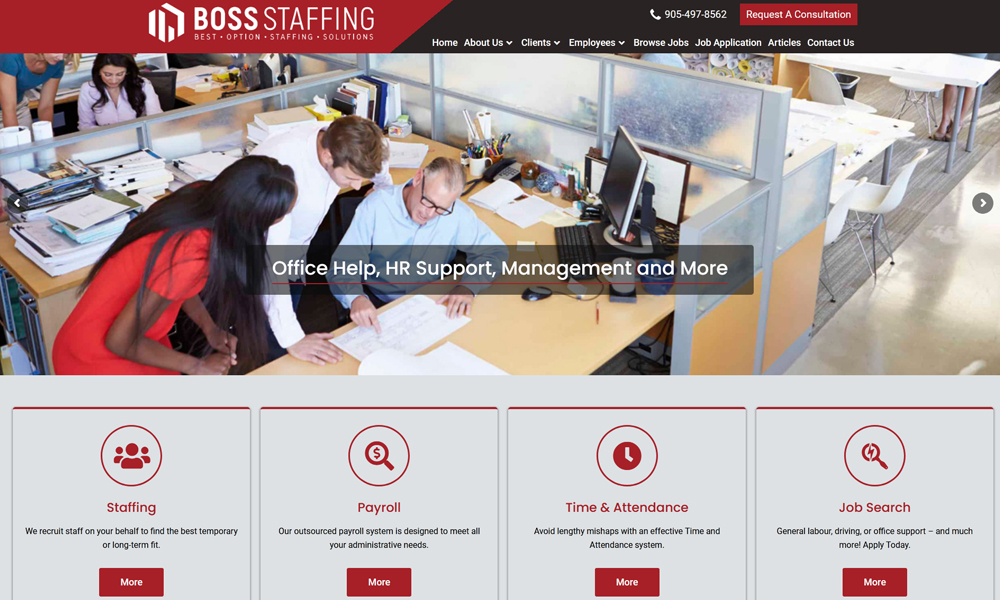 Website Development Services Toronto