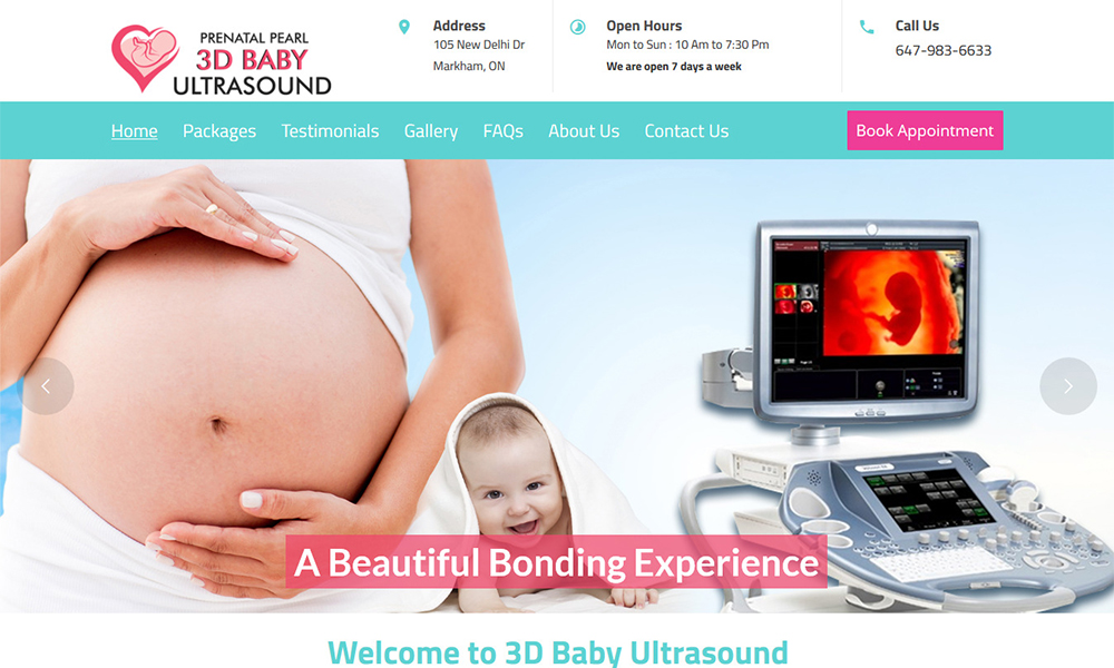 Toronto Web Design and Development Toronto