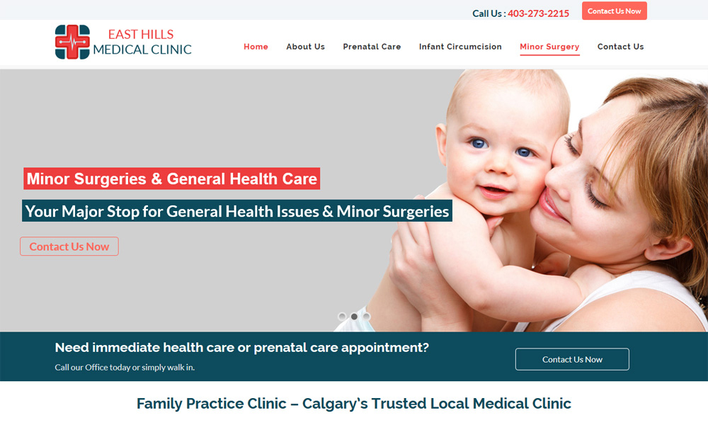 Website Design Service Toronto