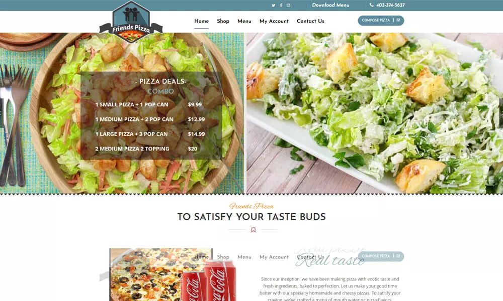 Website Design Services Toronto