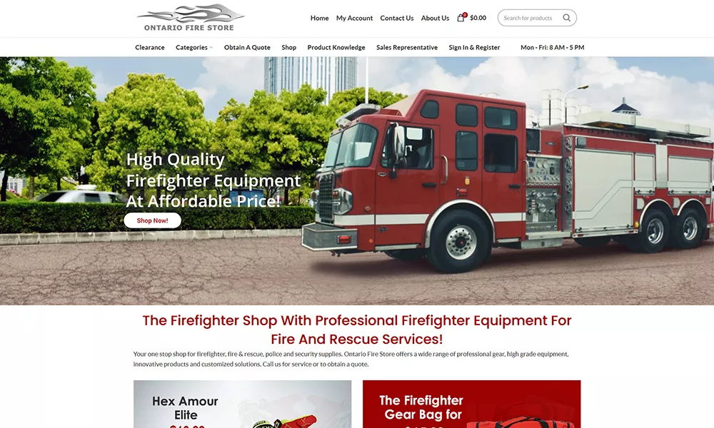 Web Design Service Company Toronto