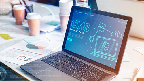 Professional CMS Website Development In Toronto Professional CMS Website Development In Toronto